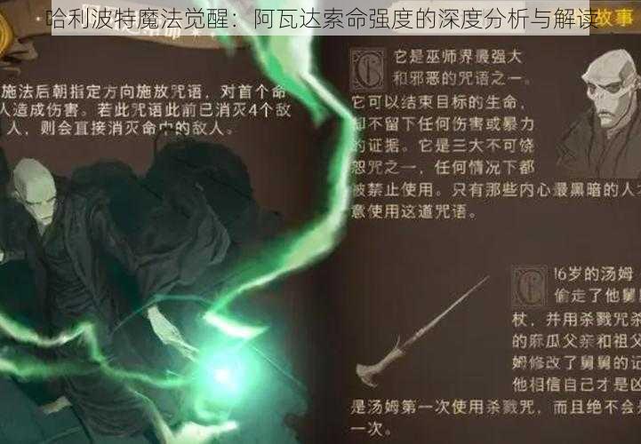 哈利波特魔法觉醒：阿瓦达索命强度的深度分析与解读