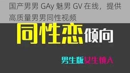 国产男男 GAy 魅男 GV 在线，提供高质量男男同性视频