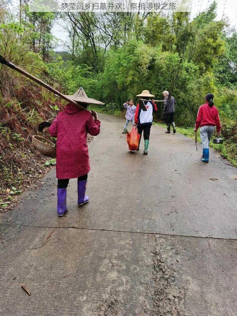 梦莹回乡扫墓并欢：祭祖寻根之旅