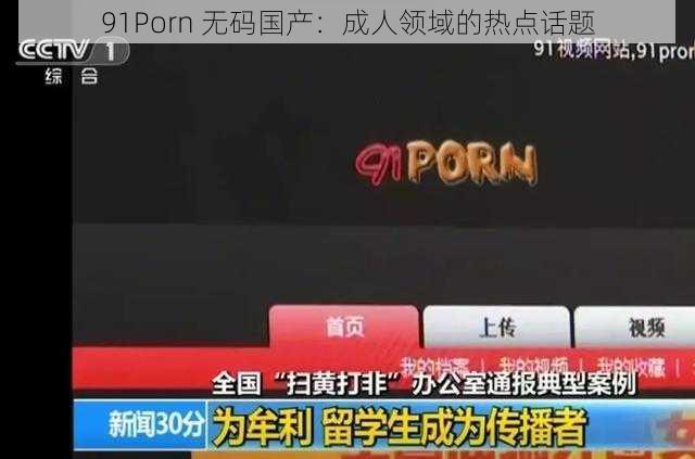 91Porn 无码国产：成人领域的热点话题