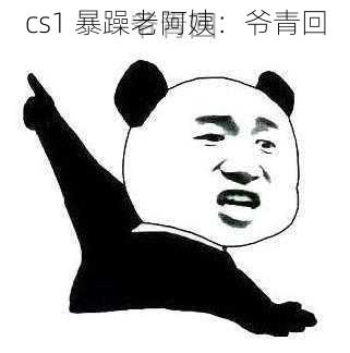 cs1 暴躁老阿姨：爷青回