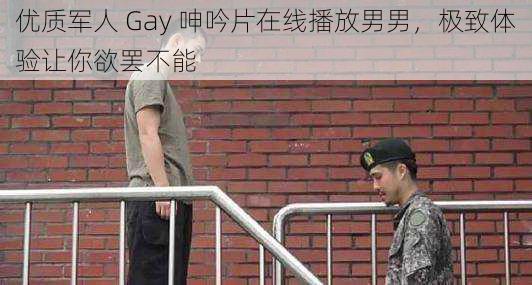 优质军人 Gay 呻吟片在线播放男男，极致体验让你欲罢不能