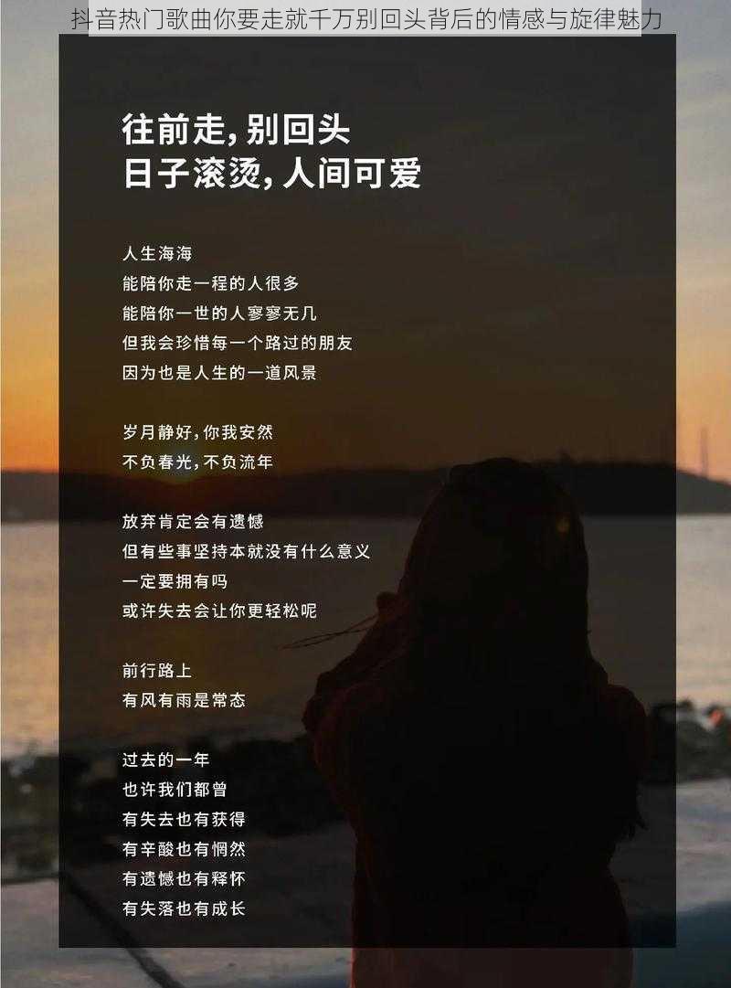 抖音热门歌曲你要走就千万别回头背后的情感与旋律魅力