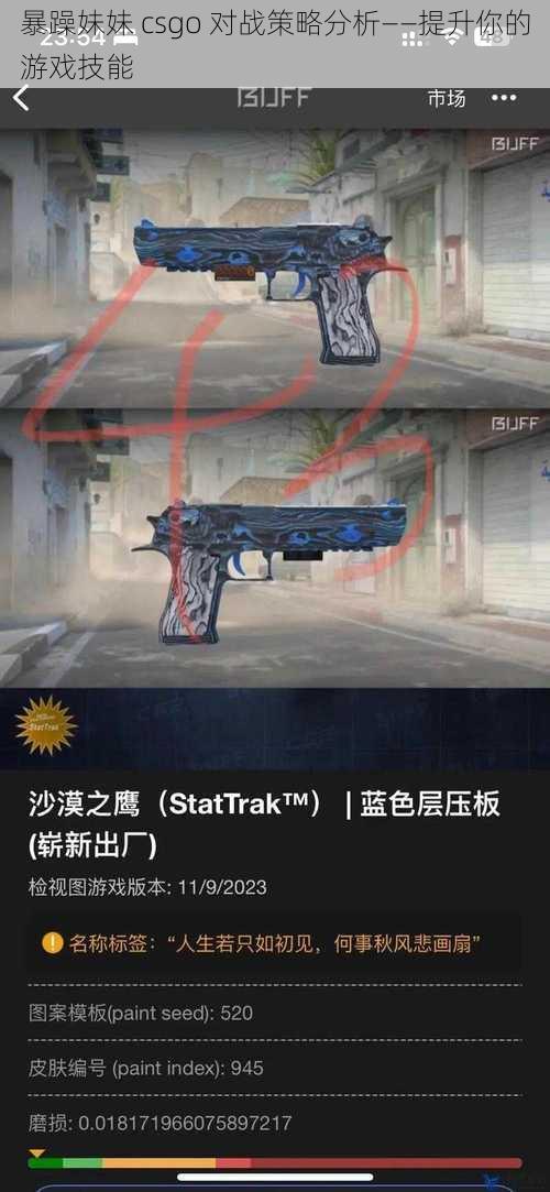 暴躁妹妹 csgo 对战策略分析——提升你的游戏技能