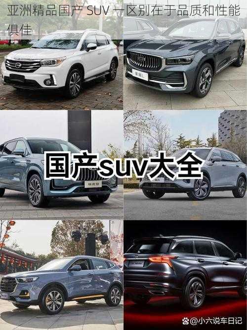 亚洲精品国产 SUV 一区别在于品质和性能俱佳