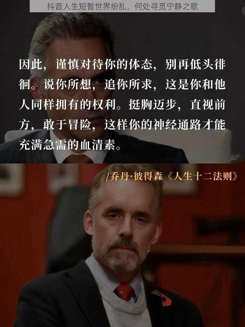 抖音人生短暂世界纷乱，何处寻觅宁静之歌