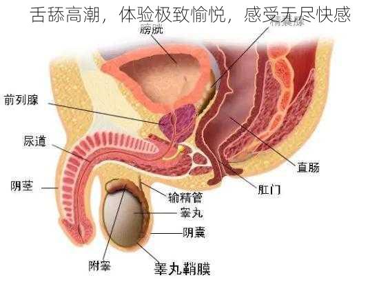 舌舔高潮，体验极致愉悦，感受无尽快感