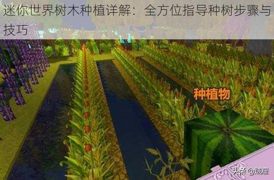 迷你世界树木种植详解：全方位指导种树步骤与技巧