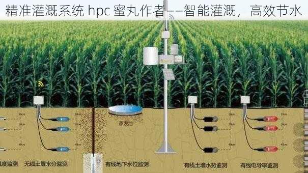 精准灌溉系统 hpc 蜜丸作者——智能灌溉，高效节水