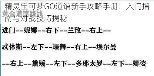 精灵宝可梦GO道馆新手攻略手册：入门指南与对战技巧揭秘