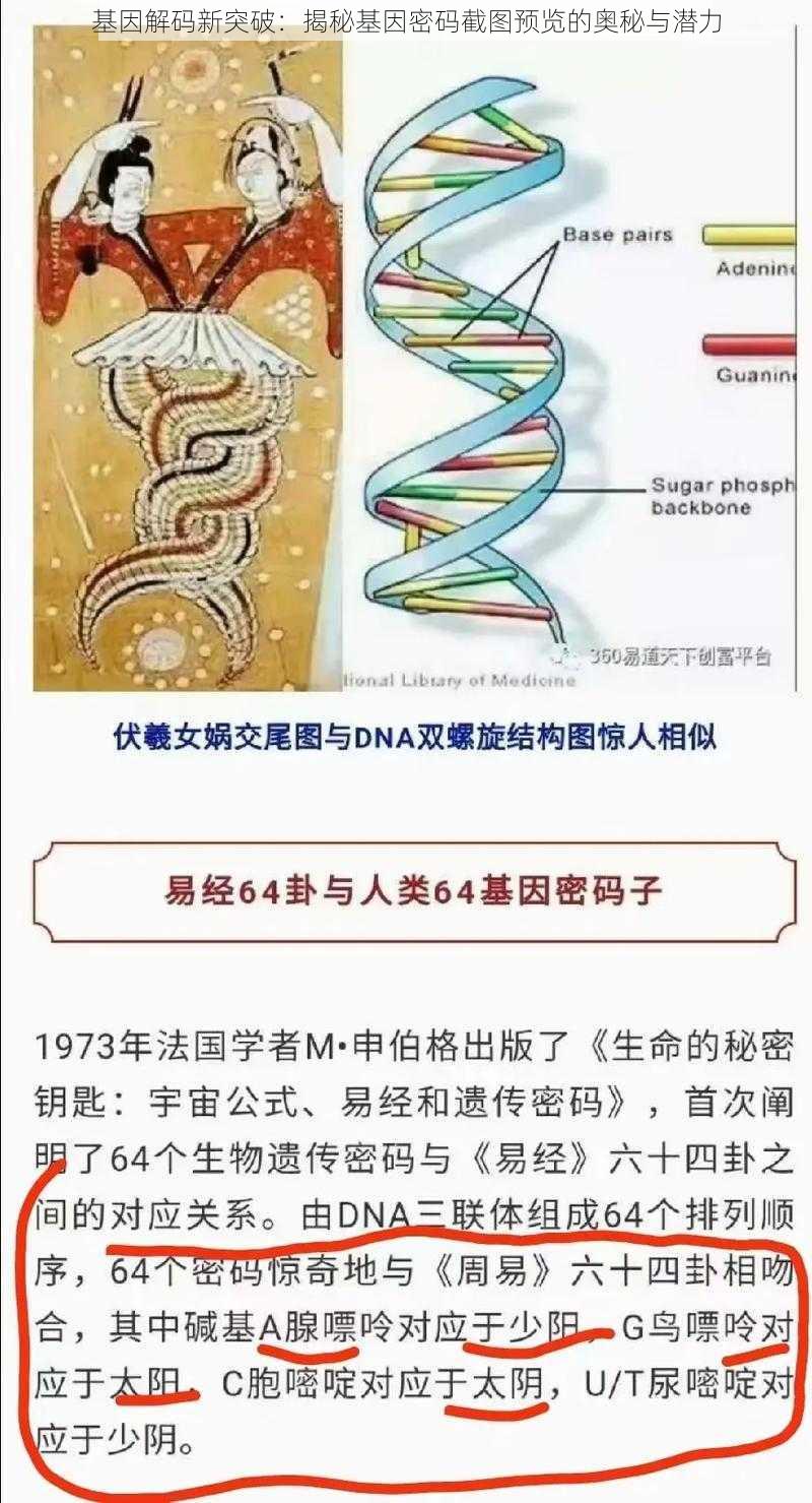 基因解码新突破：揭秘基因密码截图预览的奥秘与潜力