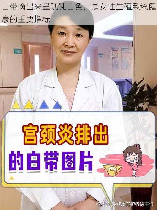 白带滴出来呈现乳白色，是女性生殖系统健康的重要指标