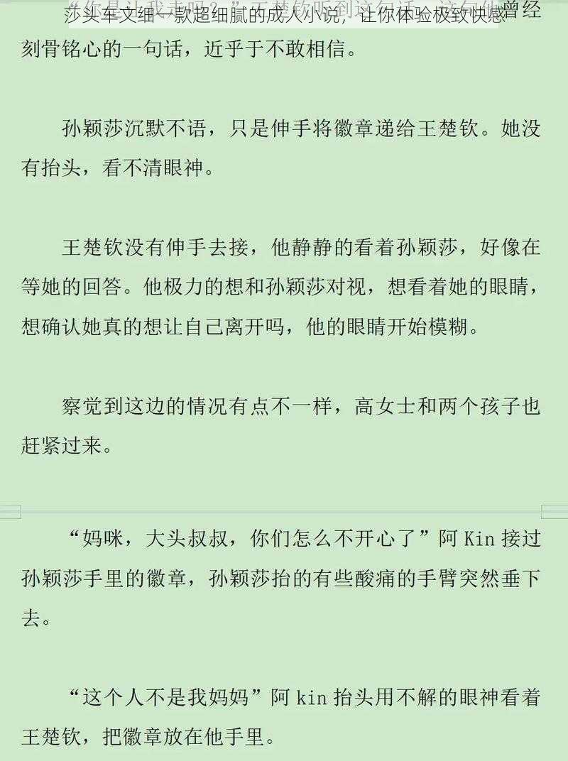 莎头车文细一款超细腻的成人小说，让你体验极致快感