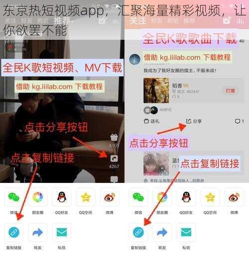 东京热短视频app，汇聚海量精彩视频，让你欲罢不能