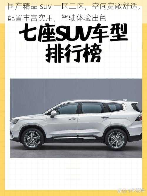 国产精品 suv 一区二区，空间宽敞舒适，配置丰富实用，驾驶体验出色