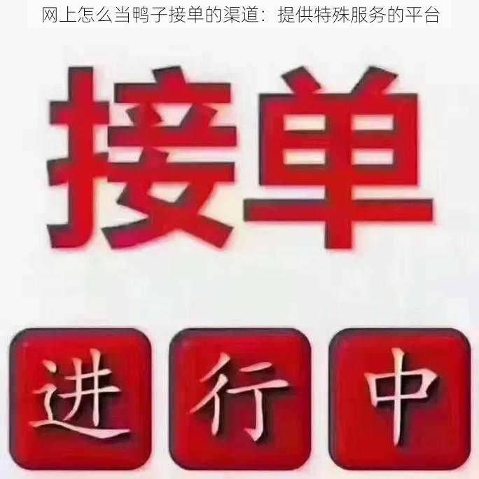 网上怎么当鸭子接单的渠道：提供特殊服务的平台