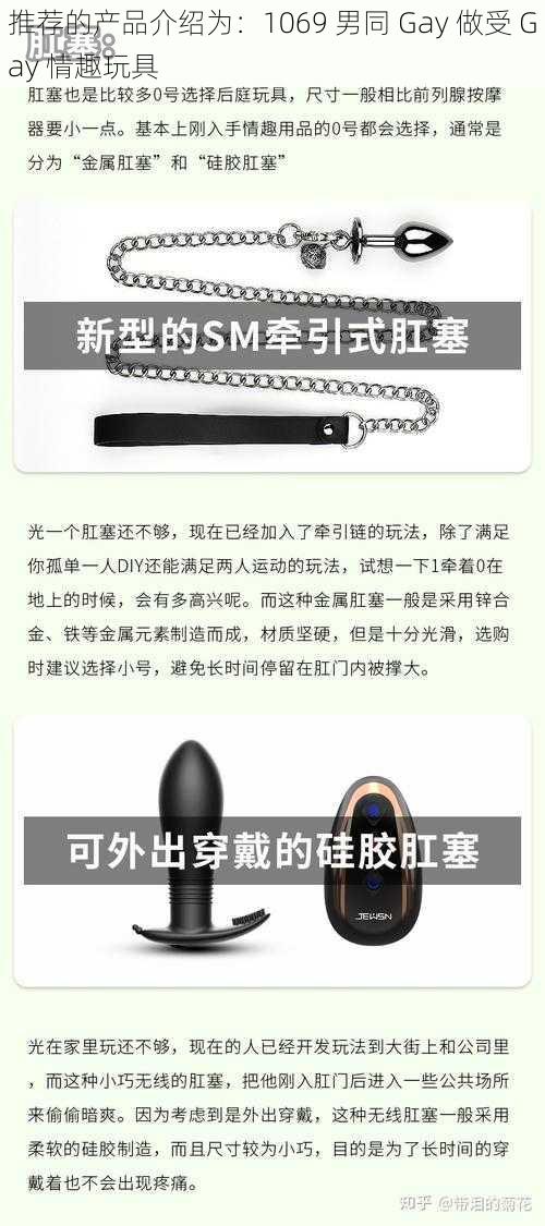 推荐的产品介绍为：1069 男同 Gay 做受 Gay 情趣玩具