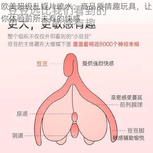 欧美超级乱婬片喷水：高品质情趣玩具，让你体验前所未有的快感