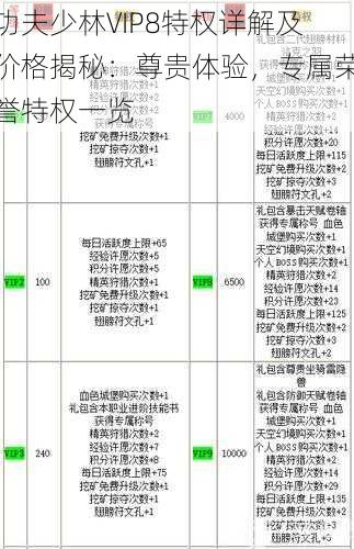 功夫少林VIP8特权详解及价格揭秘：尊贵体验，专属荣誉特权一览