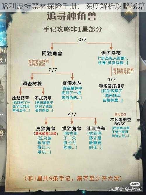 哈利波特禁林探险手册：深度解析攻略秘籍