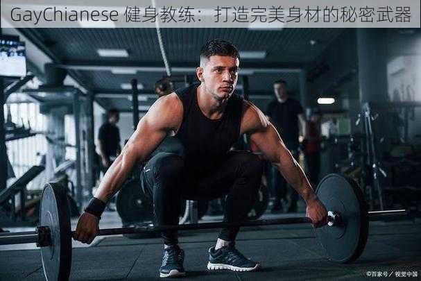 GayChianese 健身教练：打造完美身材的秘密武器