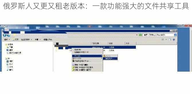 俄罗斯人又更又租老版本：一款功能强大的文件共享工具