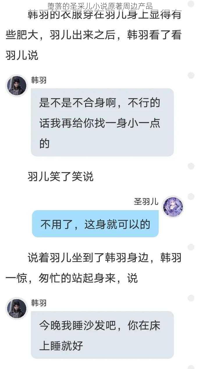 堕落的圣采儿小说原著周边产品