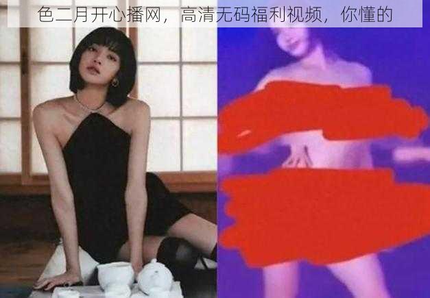 色二月开心播网，高清无码福利视频，你懂的