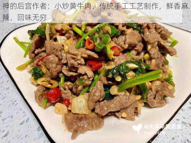 神的后宫作者：小炒黄牛肉，传统手工工艺制作，鲜香麻辣，回味无穷