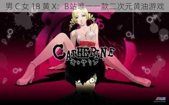 男 C 女 18 黄 X：B站唯一一款二次元黄油游戏