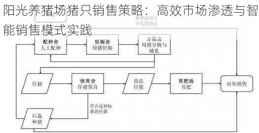 阳光养猪场猪只销售策略：高效市场渗透与智能销售模式实践