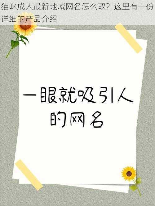 猫咪成人最新地域网名怎么取？这里有一份详细的产品介绍