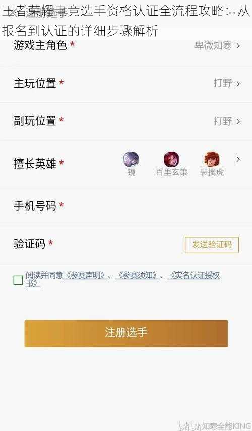 王者荣耀电竞选手资格认证全流程攻略：从报名到认证的详细步骤解析