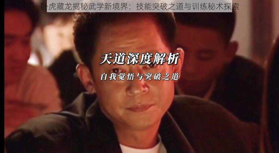 卧虎藏龙揭秘武学新境界：技能突破之道与训练秘术探索