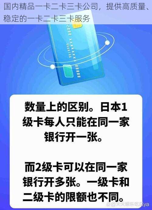 国内精品一卡二卡三卡公司，提供高质量、稳定的一卡二卡三卡服务