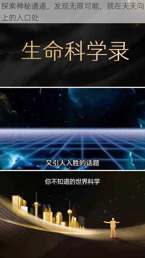 探索神秘通道，发现无限可能，就在天天向上的入口处