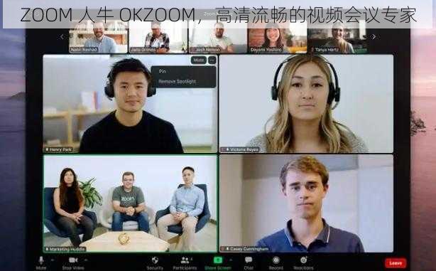 ZOOM 人牛 OKZOOM，高清流畅的视频会议专家