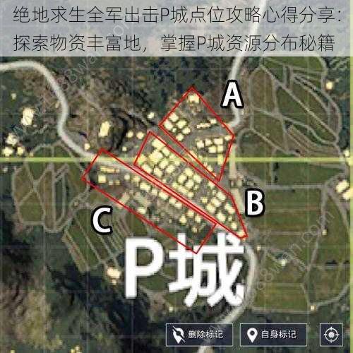 绝地求生全军出击P城点位攻略心得分享：探索物资丰富地，掌握P城资源分布秘籍