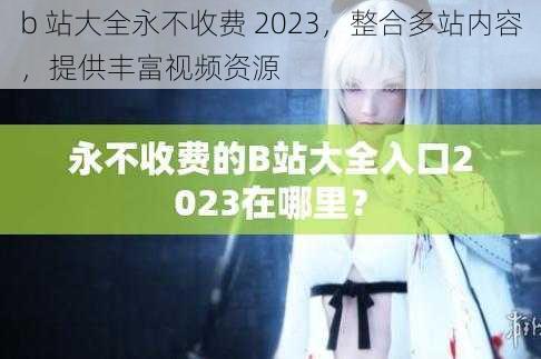 b 站大全永不收费 2023，整合多站内容，提供丰富视频资源