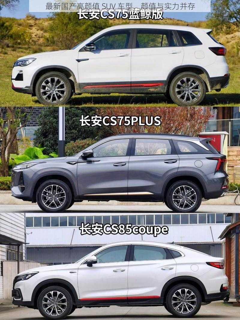 最新国产高颜值 SUV 车型，颜值与实力并存