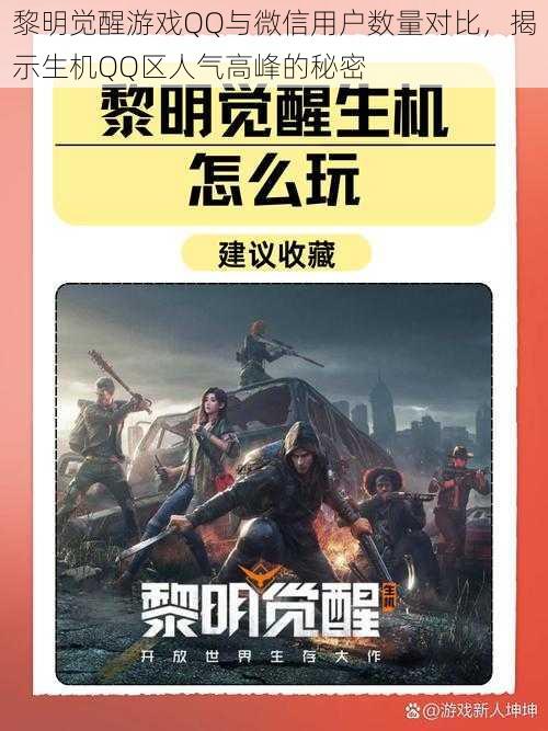 黎明觉醒游戏QQ与微信用户数量对比，揭示生机QQ区人气高峰的秘密