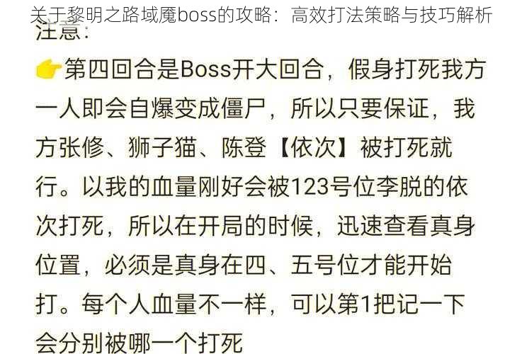 关于黎明之路域魇boss的攻略：高效打法策略与技巧解析