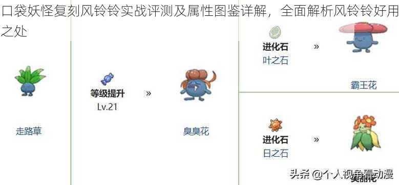 口袋妖怪复刻风铃铃实战评测及属性图鉴详解，全面解析风铃铃好用之处