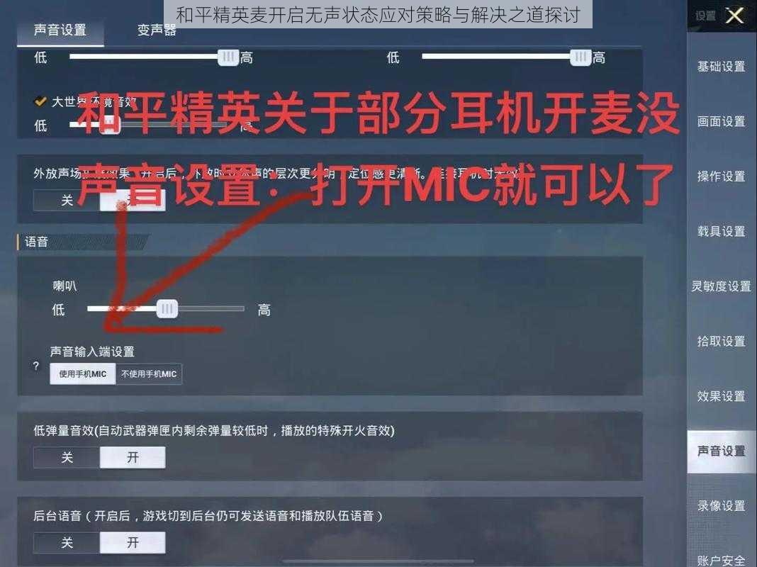 和平精英麦开启无声状态应对策略与解决之道探讨