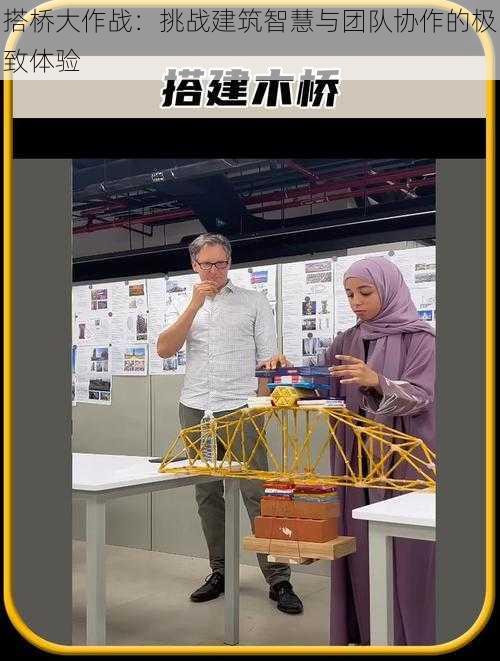 搭桥大作战：挑战建筑智慧与团队协作的极致体验