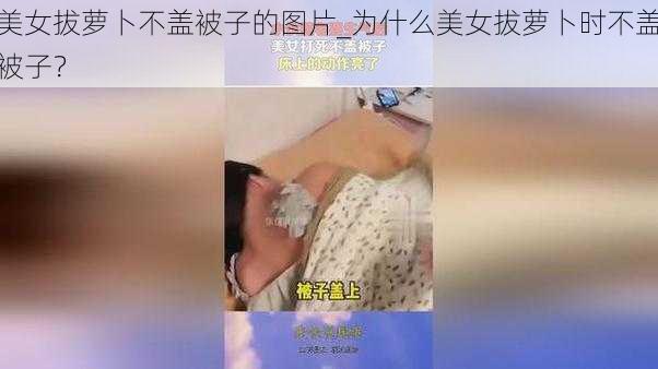 美女拔萝卜不盖被子的图片_为什么美女拔萝卜时不盖被子？