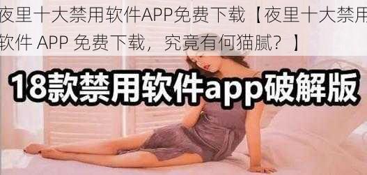 夜里十大禁用软件APP免费下载【夜里十大禁用软件 APP 免费下载，究竟有何猫腻？】