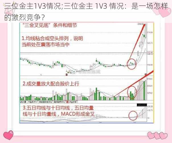 三位金主1V3情况;三位金主 1V3 情况：是一场怎样的激烈竞争？