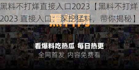 黑料不打烊直接入口2023【黑料不打烊 2023 直接入口：深挖猛料，带你揭秘】