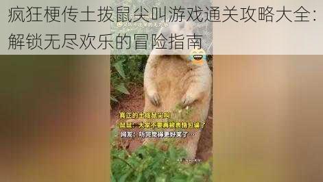 疯狂梗传土拨鼠尖叫游戏通关攻略大全：解锁无尽欢乐的冒险指南